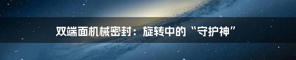 双端面机械密封：旋转中的“守护神”