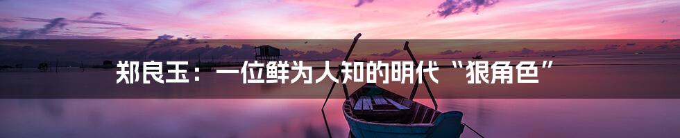 郑良玉:一位鲜为人知的明代“狠角色”
