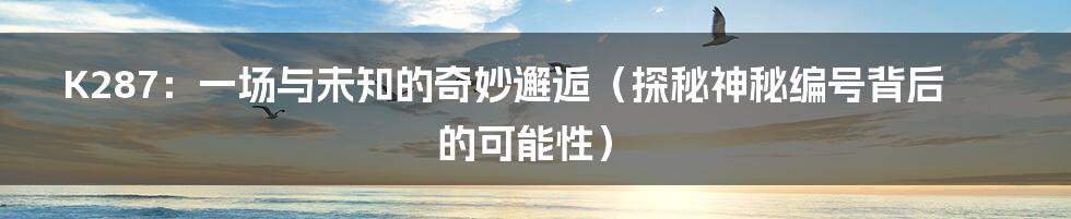 K287:一场与未知的奇妙邂逅(探秘神秘编号背后的可能性)
