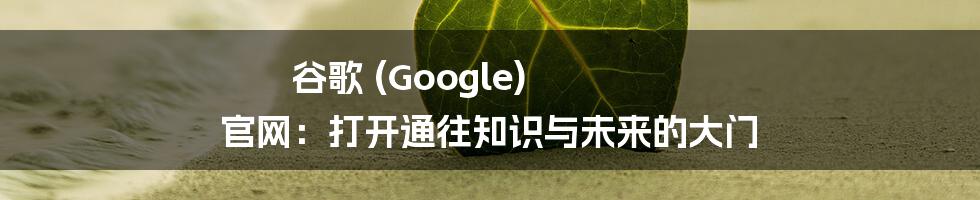 谷歌 (Google) 官网:打开通往知识与未来的大门