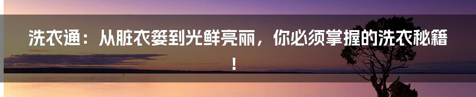 洗衣通：从脏衣篓到光鲜亮丽，你必须掌握的洗衣秘籍！