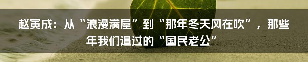赵寅成:从“浪漫满屋”到“那年冬天风在吹”,那些年我们追过的“国民老公”