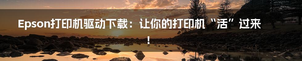 Epson打印机驱动下载:让你的打印机“活”过来!
