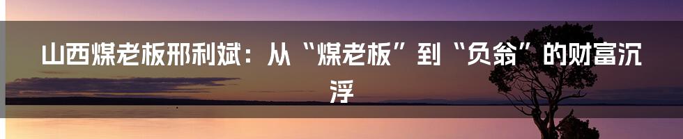 山西煤老板邢利斌：从“煤老板”到“负翁”的财富沉浮