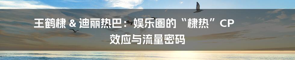 王鹤棣 & 迪丽热巴:娱乐圈的“棣热”CP 效应与流量密码