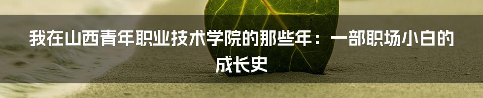 我在山西青年职业技术学院的那些年：一部职场小白的成长史