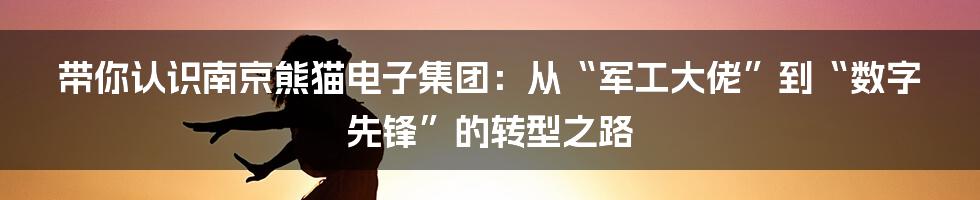 带你认识南京熊猫电子集团：从“军工大佬”到“数字先锋”的转型之路