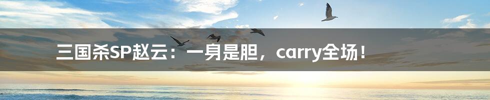 三国杀SP赵云：一身是胆，carry全场！