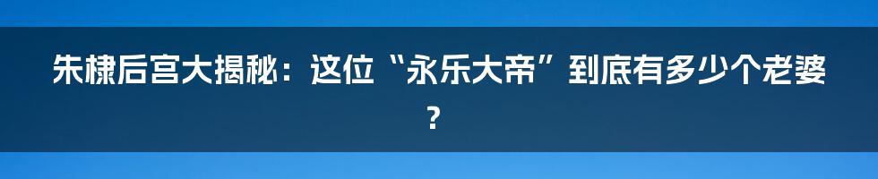 朱棣后宫大揭秘:这位“永乐大帝”到底有多少个老婆?