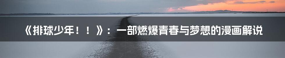 《排球少年！！》：一部燃爆青春与梦想的漫画解说
