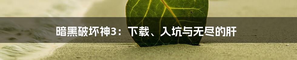 暗黑破坏神3:下载、入坑与无尽的肝