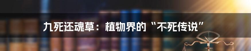 九死还魂草:植物界的“不死传说”