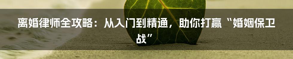 离婚律师全攻略：从入门到精通，助你打赢“婚姻保卫战”