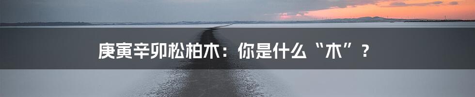 庚寅辛卯松柏木：你是什么“木”？