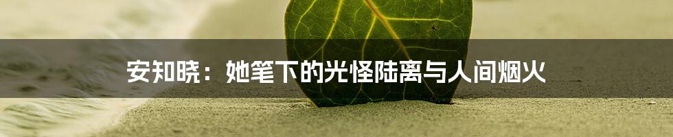 安知晓:她笔下的光怪陆离与人间烟火