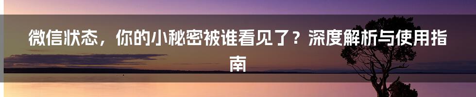 微信状态,你的小秘密被谁看见了?深度解析与使用指南