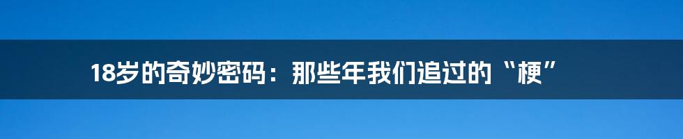 18岁的奇妙密码：那些年我们追过的“梗”