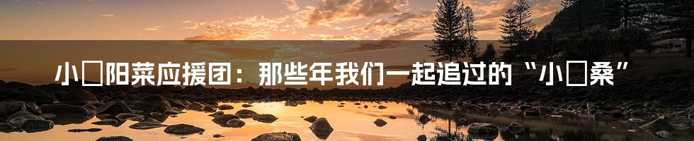 小嶋阳菜应援团：那些年我们一起追过的“小嶋桑”