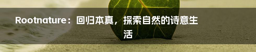 Rootnature:回归本真,探索自然的诗意生活