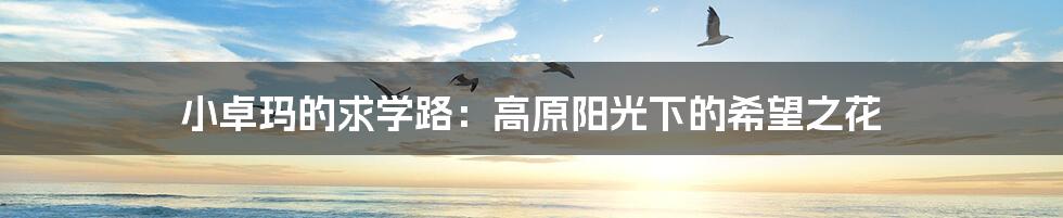 小卓玛的求学路：高原阳光下的希望之花