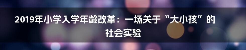 2019年小学入学年龄改革：一场关于“大小孩”的社会实验