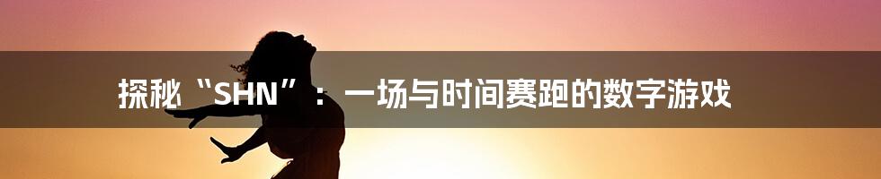 探秘“SHN”：一场与时间赛跑的数字游戏