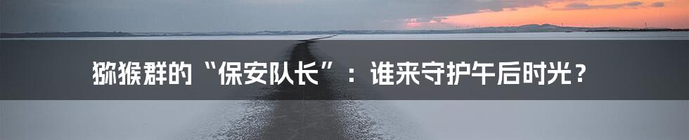 猕猴群的“保安队长”:谁来守护午后时光?