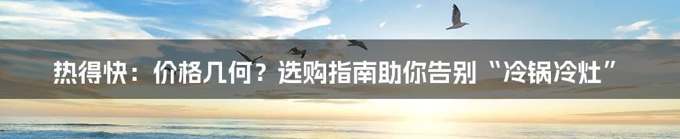 热得快：价格几何？选购指南助你告别“冷锅冷灶”