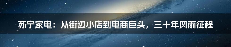 苏宁家电：从街边小店到电商巨头，三十年风雨征程