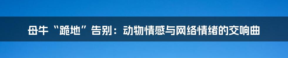 母牛“跪地”告别:动物情感与网络情绪的交响曲