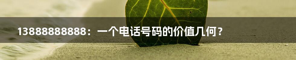 13888888888:一个电话号码的价值几何?