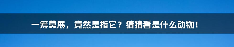 一筹莫展,竟然是指它?猜猜看是什么动物!