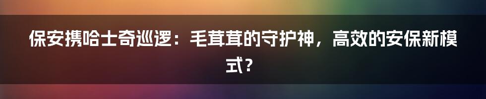 保安携哈士奇巡逻：毛茸茸的守护神，高效的安保新模式？