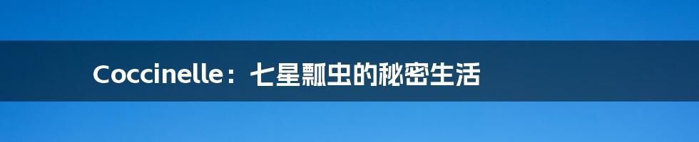 Coccinelle:七星瓢虫的秘密生活