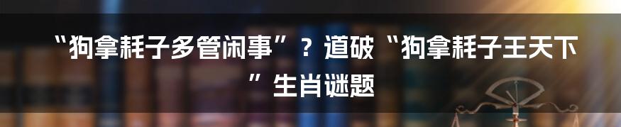 “狗拿耗子多管闲事”?道破“狗拿耗子王天下”生肖谜题