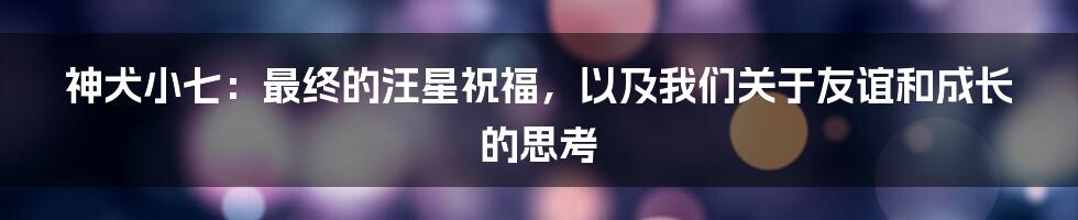 神犬小七：最终的汪星祝福，以及我们关于友谊和成长的思考