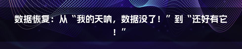 数据恢复：从“我的天呐，数据没了！”到“还好有它！”
