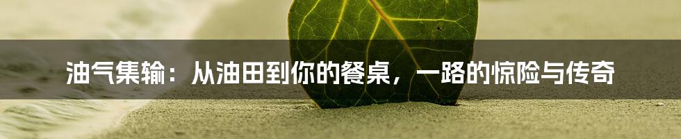 油气集输:从油田到你的餐桌,一路的惊险与传奇