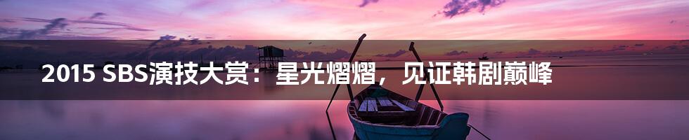 2015 SBS演技大赏：星光熠熠，见证韩剧巅峰