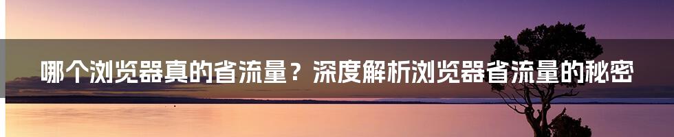 哪个浏览器真的省流量?深度解析浏览器省流量的秘密