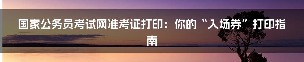 国家公务员考试网准考证打印：你的“入场券”打印指南
