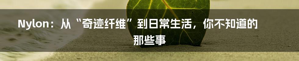 Nylon:从“奇迹纤维”到日常生活,你不知道的那些事