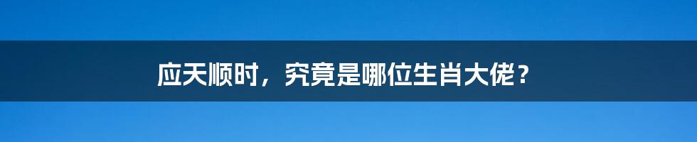 应天顺时，究竟是哪位生肖大佬？