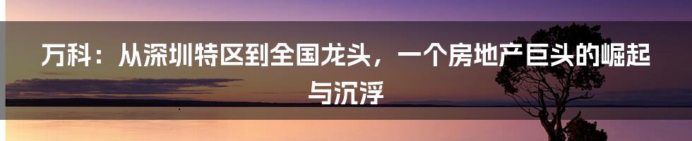 万科：从深圳特区到全国龙头，一个房地产巨头的崛起与沉浮