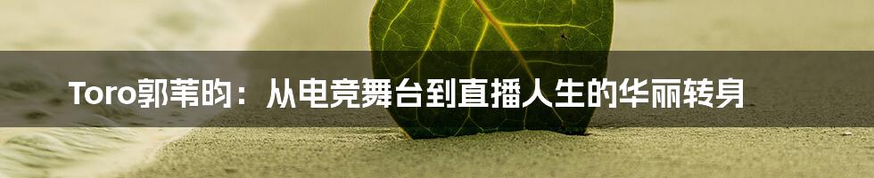 Toro郭苇昀:从电竞舞台到直播人生的华丽转身