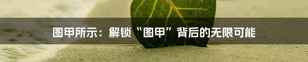 图甲所示：解锁“图甲”背后的无限可能