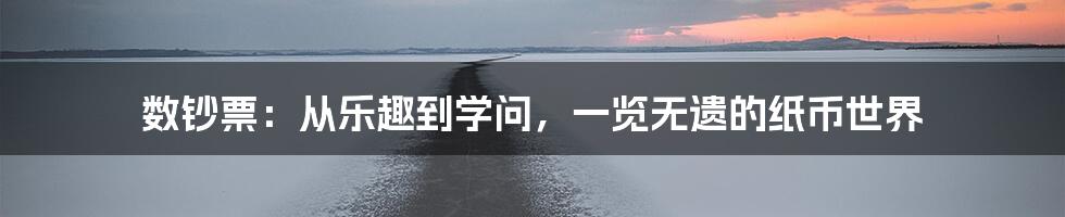 数钞票:从乐趣到学问,一览无遗的纸币世界