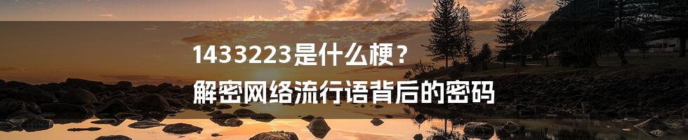 1433223是什么梗？ 解密网络流行语背后的密码