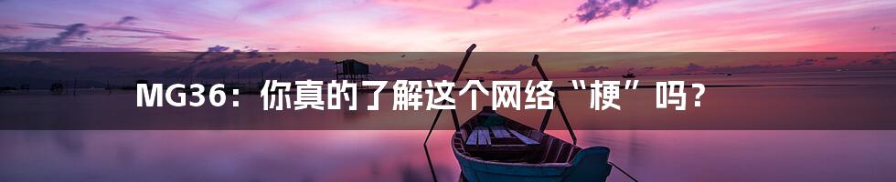 MG36：你真的了解这个网络“梗”吗？