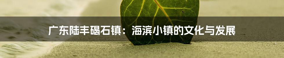 广东陆丰碣石镇:海滨小镇的文化与发展